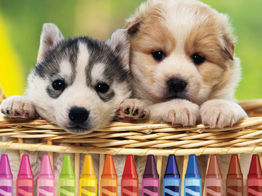 4GameGround - Puppy Coloring online Arcade game