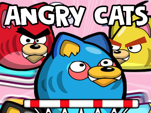 Angry Cats online Sports game