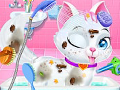 Animal Daycare Pet Doctor online Puzzle game