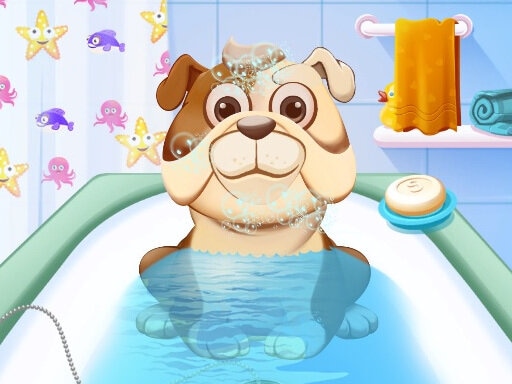 Animal Daycare online Girls game