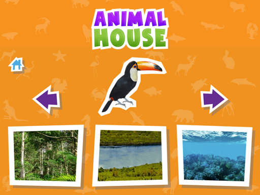 Animal House game online Puzzle game