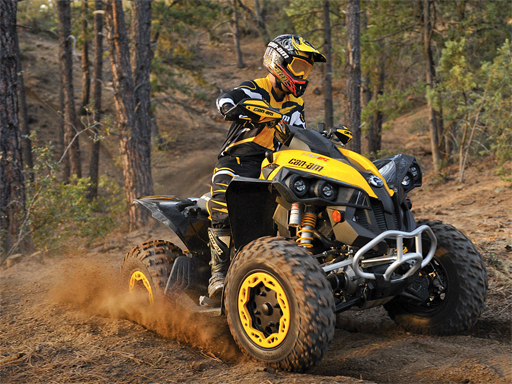 ATV Offroad Puzzle online game