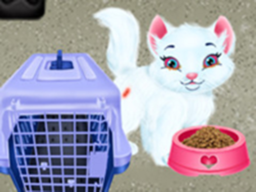 Baby Taylor Pet Care - Save Cute Animals online game