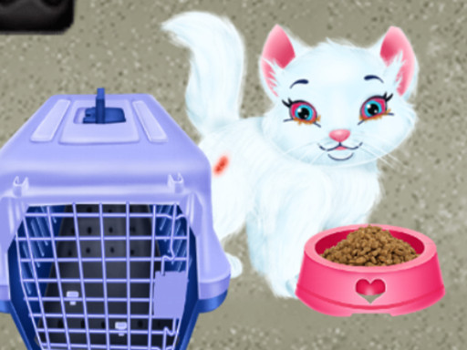Baby Taylor Pet Care online game