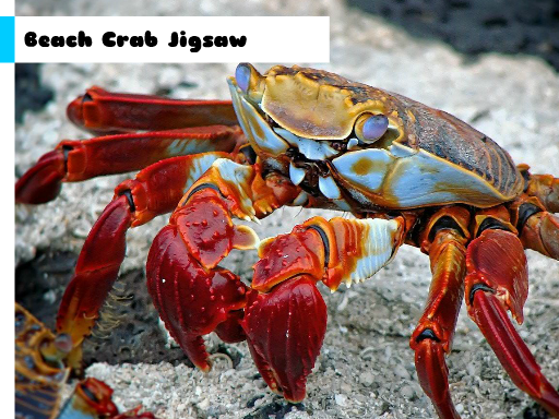 Beach Crab Jigsaw online game
