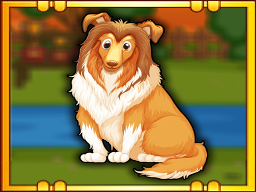 Bernese Mountain Dog Escape online Puzzle game