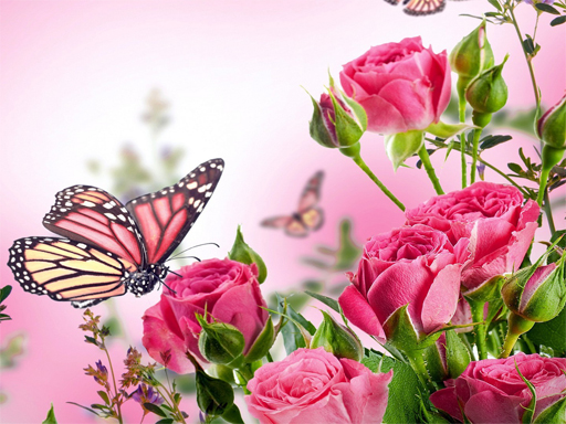 Butterflies Puzzle online Puzzle game