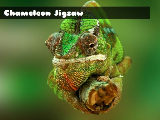 Chameleon Jigsaw online game