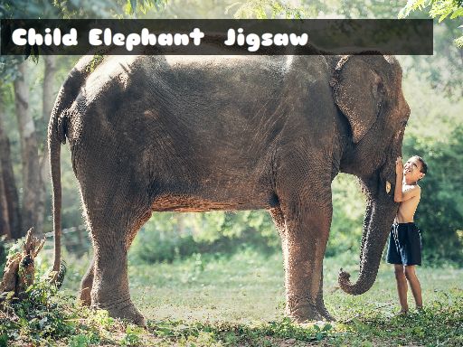 Child Elephant Jigsaw online game
