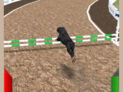 Crazy Real Dog Race online Racing game