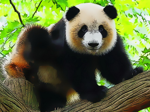Cute Baby Panda online game