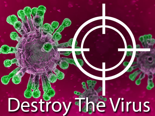 Destroy The Corona Virus online game