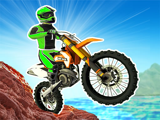 Dirt Bike Mad Skills online game
