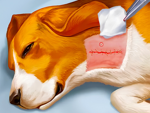 Dog Hospital online game