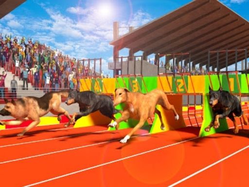 Dog Run 3D online game
