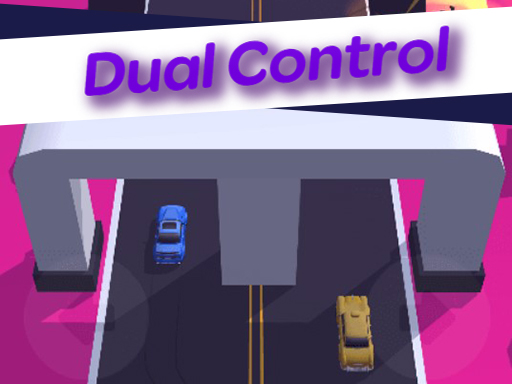 Dual Control 3D online game