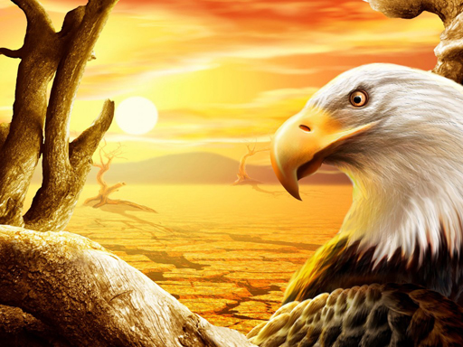 Eagle Slide online game
