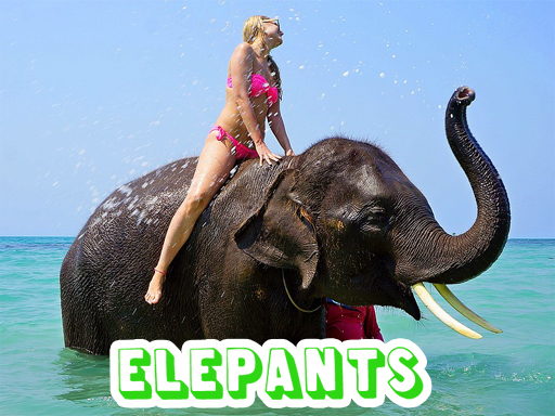 Elephants Puzzle online game