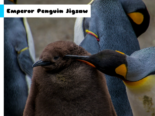 Emperor Penguin Jigsaw online game