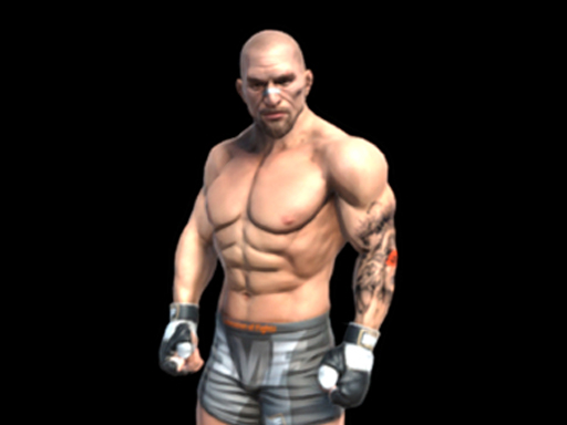 Fight Arena Online online game