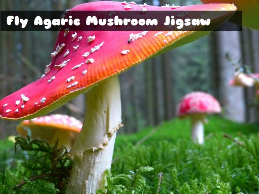 Fly Agaric Mushroom online game