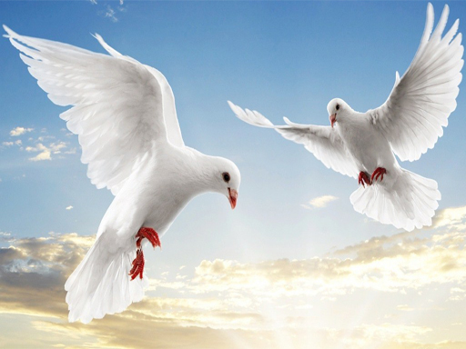 Flying Birds Slide online Puzzle game