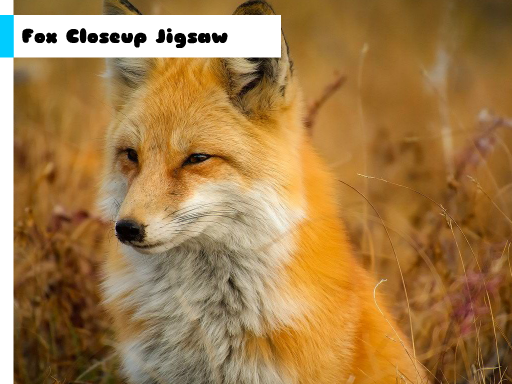 Fox Closeup Jigsaw online game