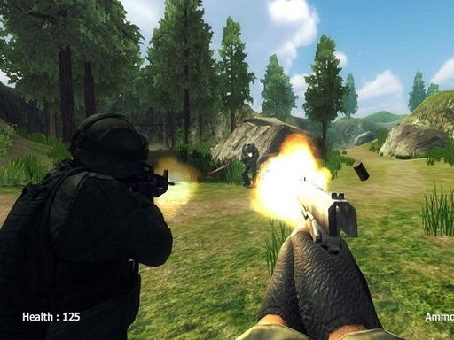 FPS Shooting Survival Sim online game
