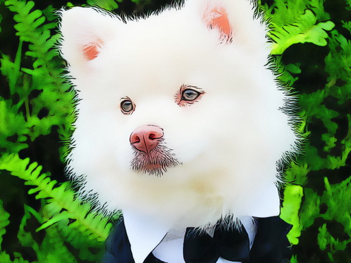 Funny Baby Animals online game