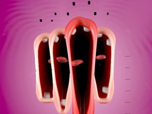 Funny Chorus online game