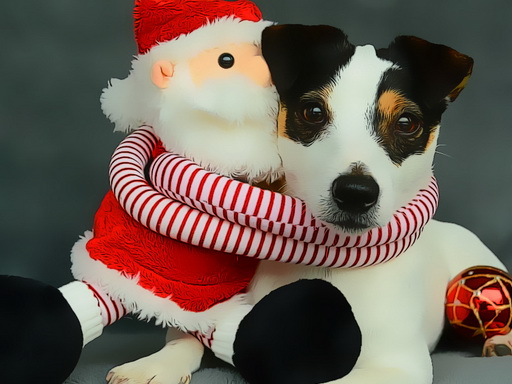 Funny Christmas Dogs online game