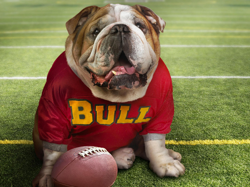 Funny Doggy Puzzle online game