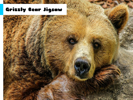 Grizzly Bear Jigsaw online game