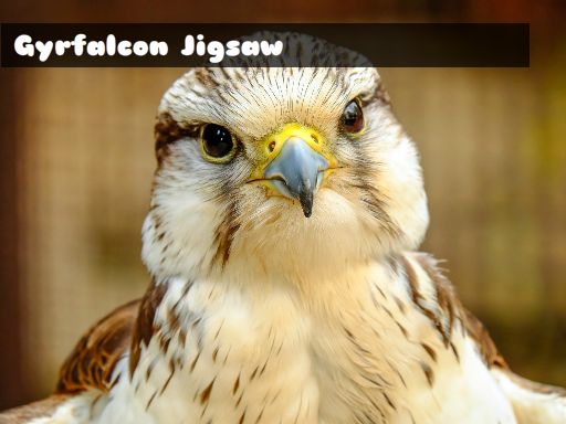 Gyrfalcon Jigsaw online game