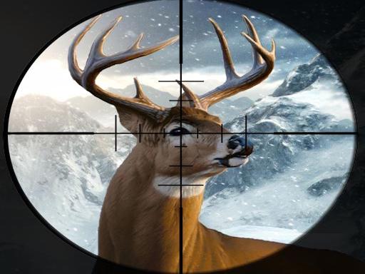 Hunter 3d online game
