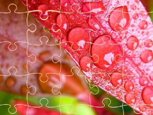 Jigsaw Puzzles online game