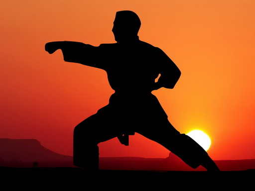 Karate Sunset Warriors online game