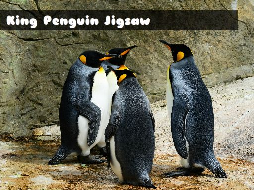 King Penguin Jigsaw online game