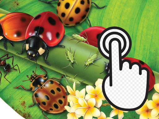 Ladybug Clicker online game