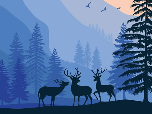Landscape Paradise Hidden online game
