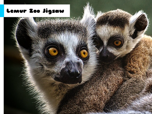 Lemur Zoo Jigsaw online game
