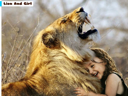 Lion And Girl Jigsaw online game