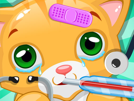 Little Cat Doctor Pet Vet Game online game