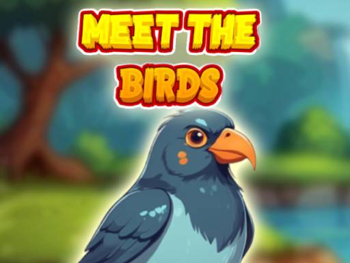Meet The Birds online game
