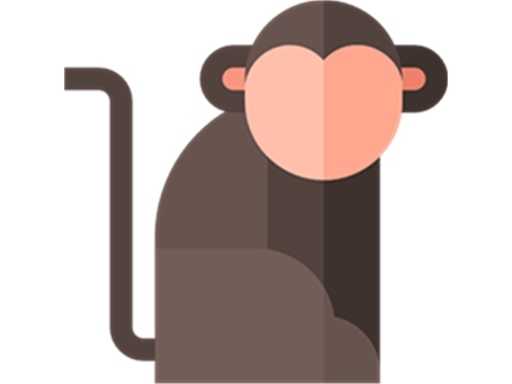 Memorized! online game
