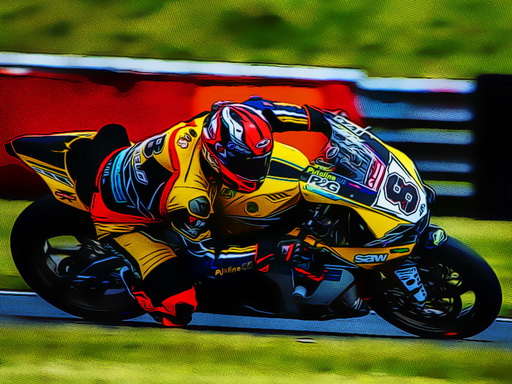 Motorcycle Racers online game