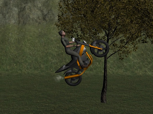 Mountain Bike Rider online game