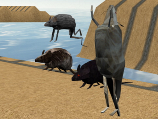 Mouse Race Islands online game