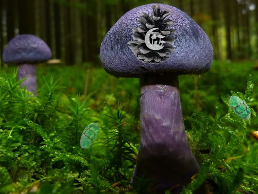 Mushroom Forest Adventure online Puzzle game