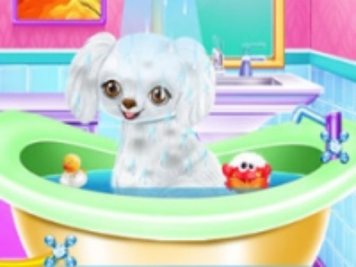 My New Poodle Friend - Pet Care Game online game